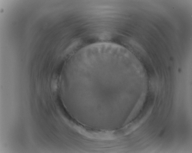 X0000063530032200601271912