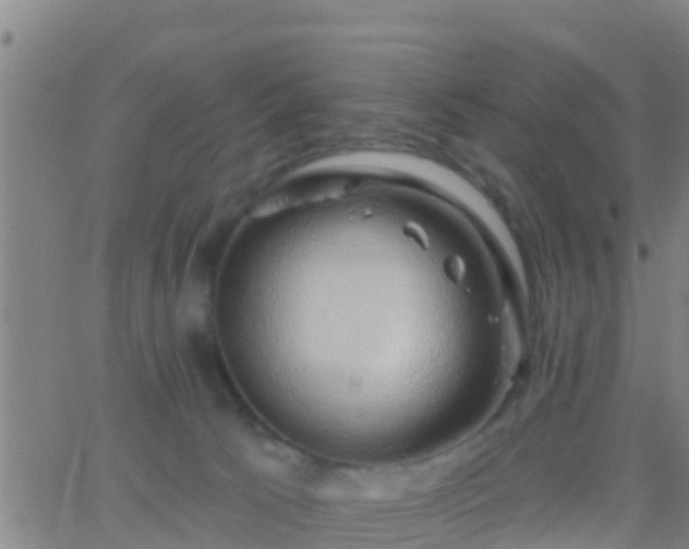 X0000063530033200601271912