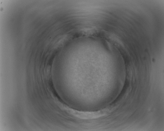 X0000063530034200601271912