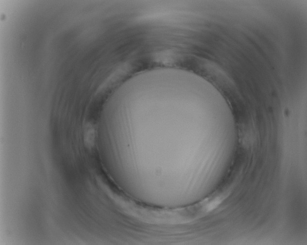 X0000063530036200601271912