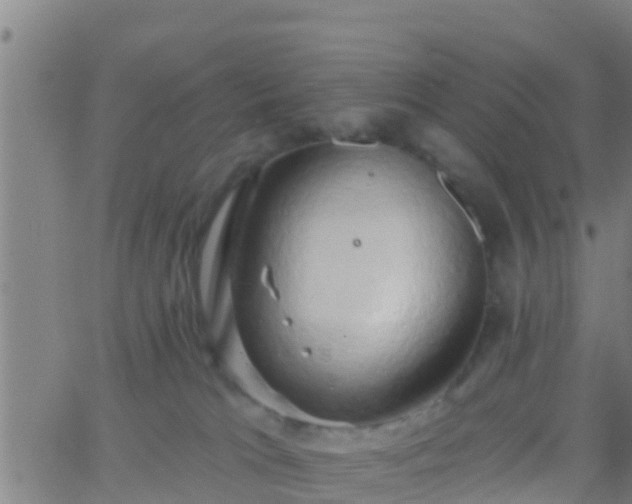 X0000063530037200601271912