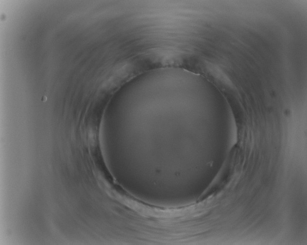 X0000063530039200601271912