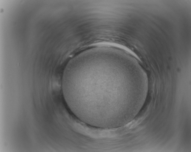 X0000063530040200601271912