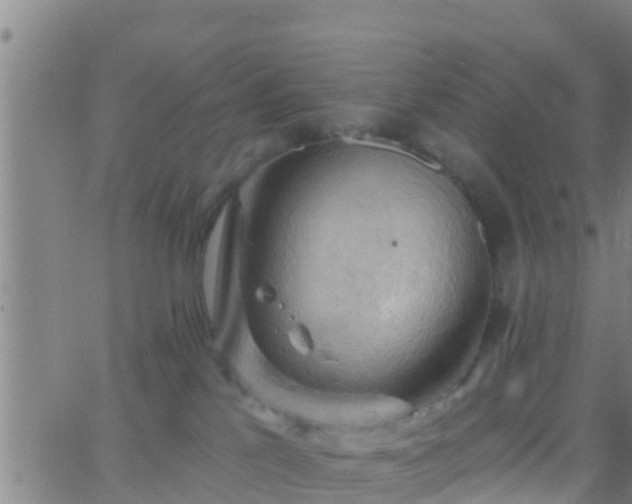 X0000063530041200601271912