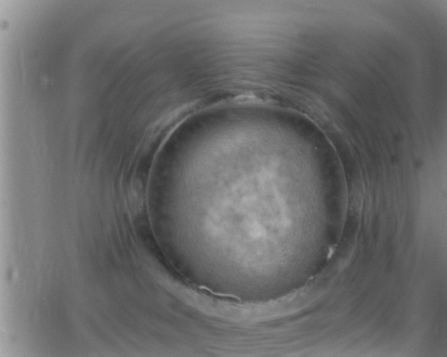 X0000063530043200601271912