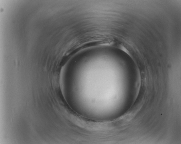 X0000063530044200601271912