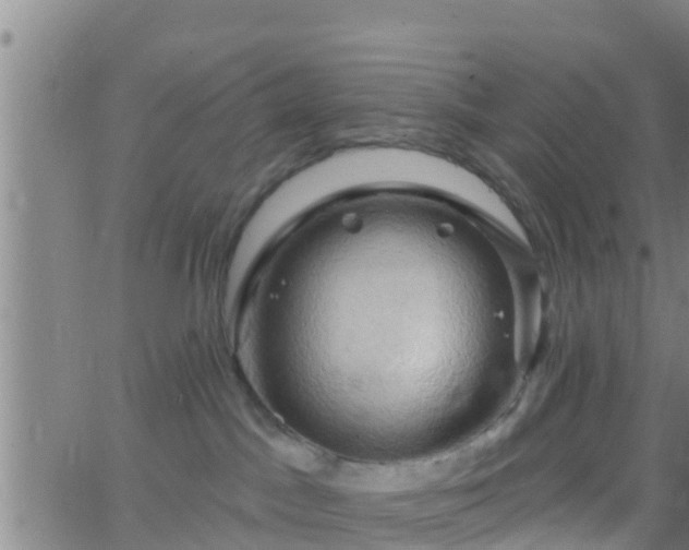 X0000063530045200601271912