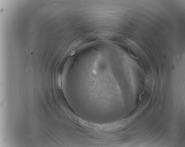 X0000063530046200601271912