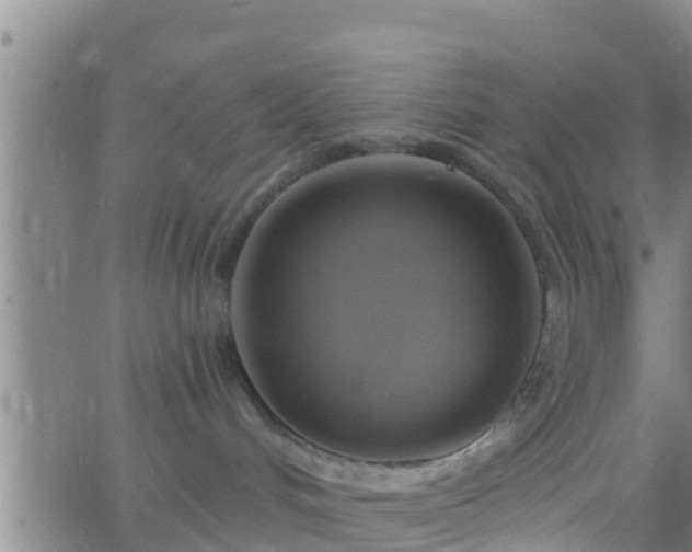 X0000063530048200601271912