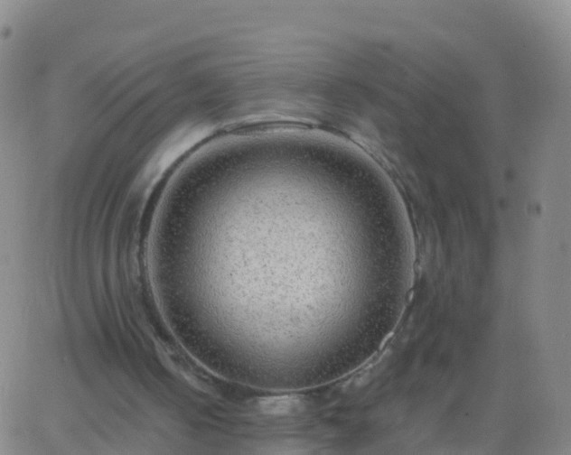 X0000063530050200601271911