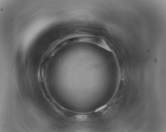 X0000063530052200601271911