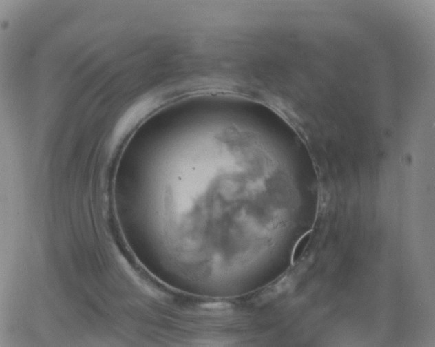 X0000063530053200601271911