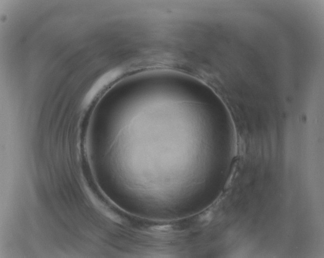 X0000063530054200601271911