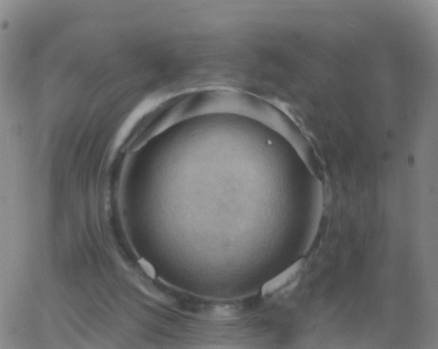 X0000063530056200601271911