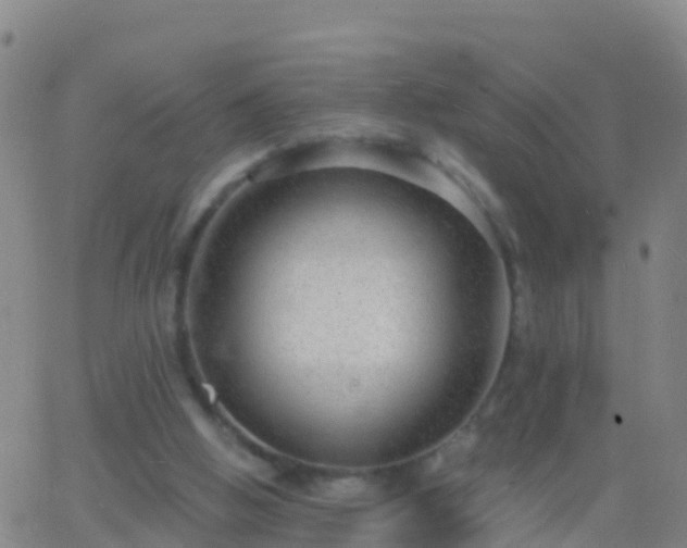 X0000063530058200601271911