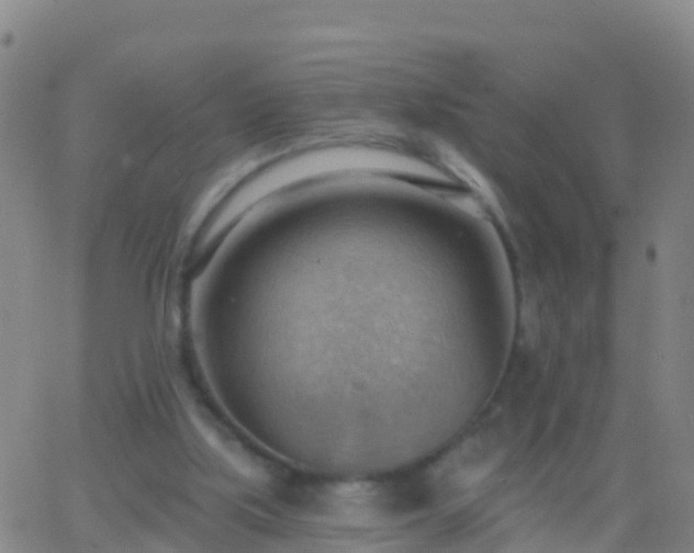 X0000063530059200601271911