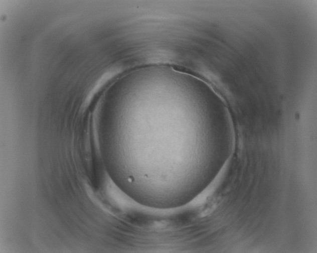 X0000063530060200601271911