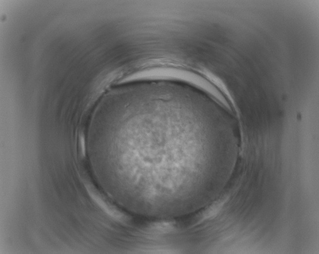 X0000063530061200601271911