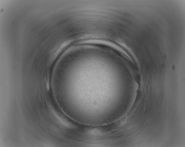 X0000063530062200601271911