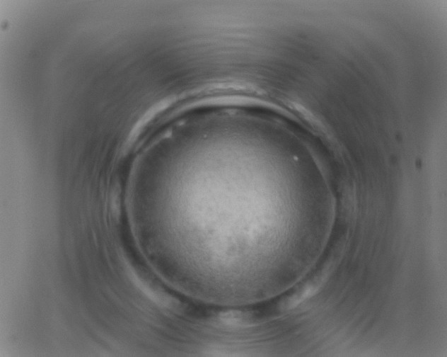 X0000063530064200601271911