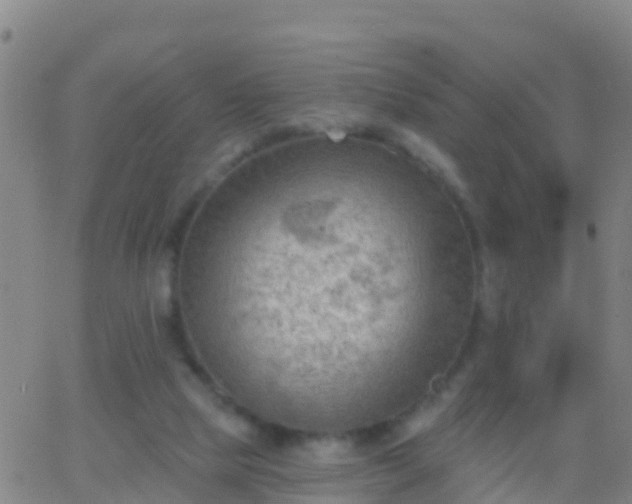 X0000063530065200601271911