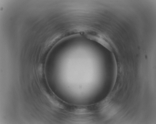 X0000063530066200601271911