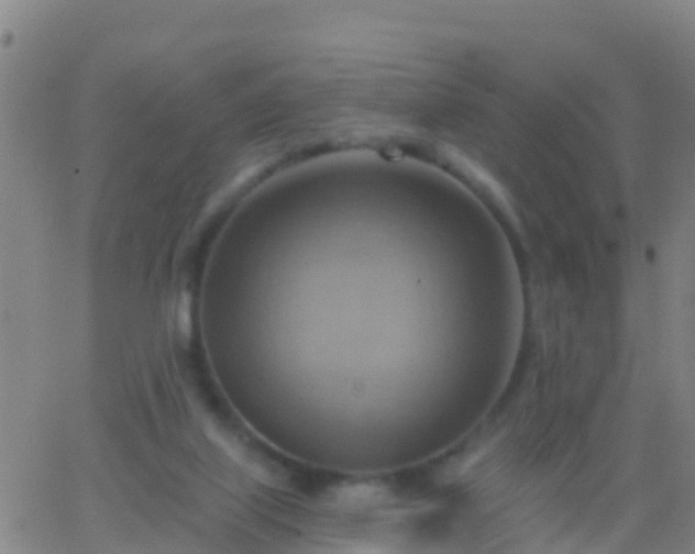 X0000063530067200601271911