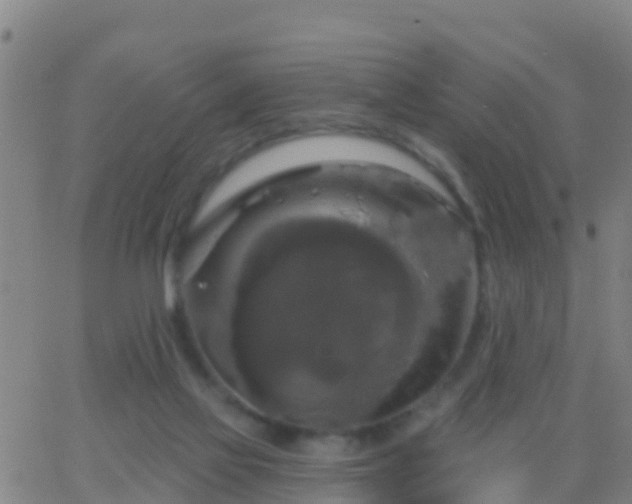 X0000063530069200601271911