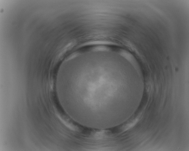 X0000063530072200601271911