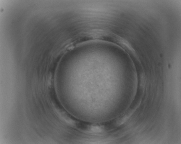 X0000063530073200601271911