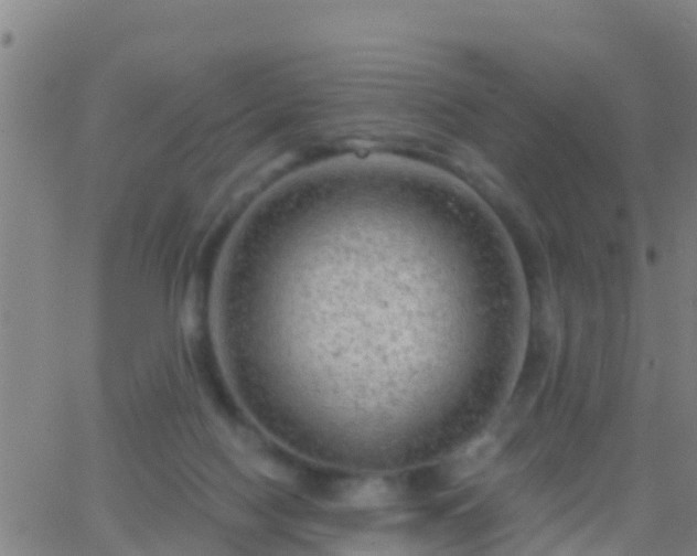 X0000063530074200601271911