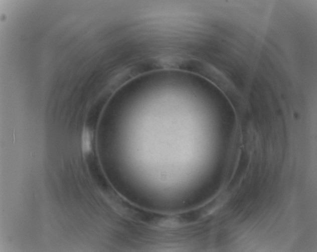 X0000063530075200601271911