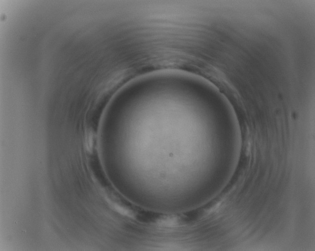 X0000063530076200601271911