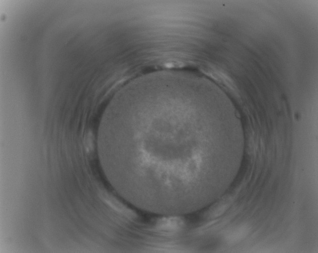 X0000063530077200601271911