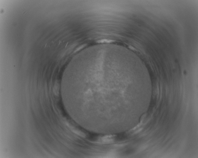 X0000063530078200601271911