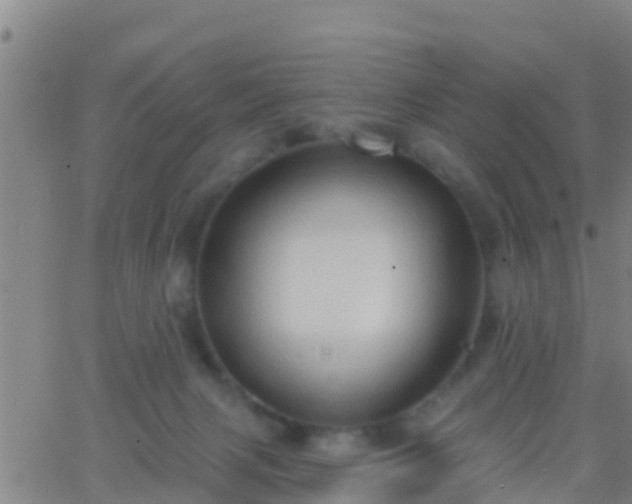 X0000063530079200601271912