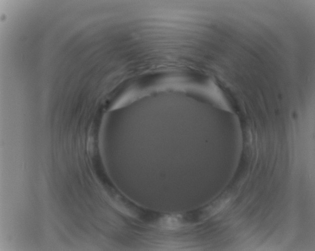 X0000063530080200601271912