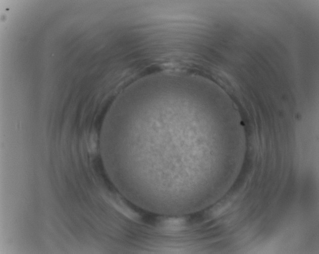 X0000063530081200601271912