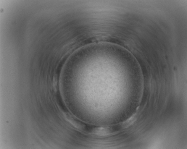 X0000063530082200601271912