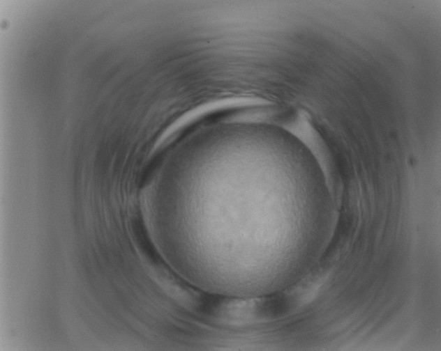 X0000063530084200601271912