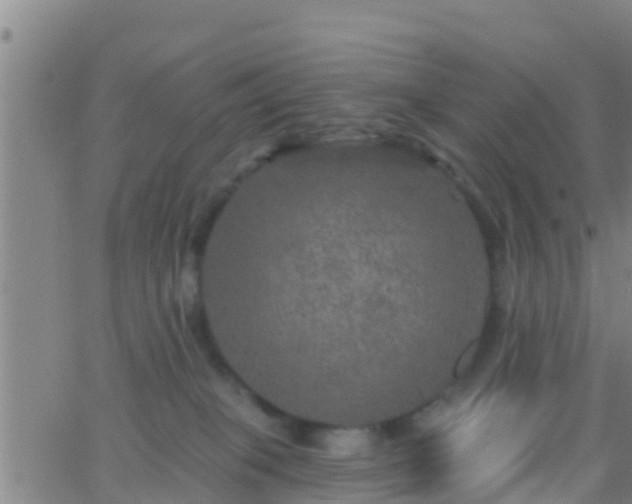 X0000063530085200601271912