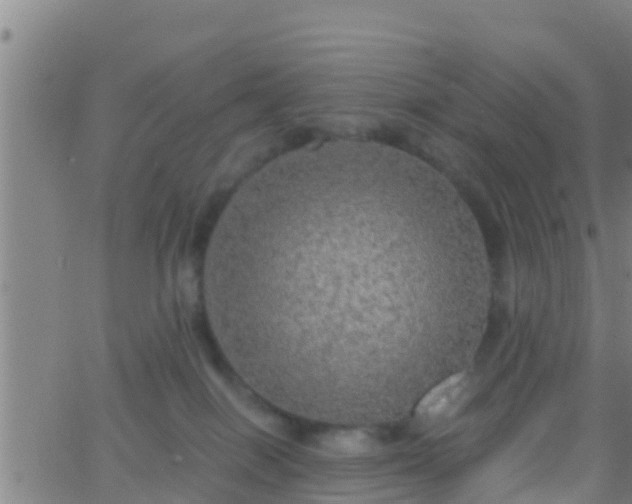 X0000063530086200601271912