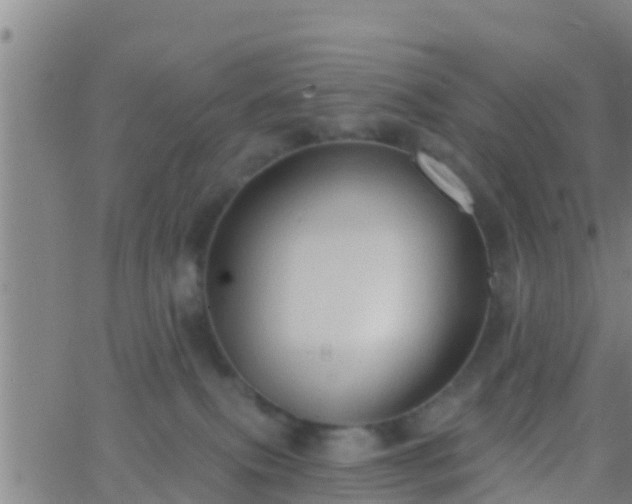 X0000063530087200601271912