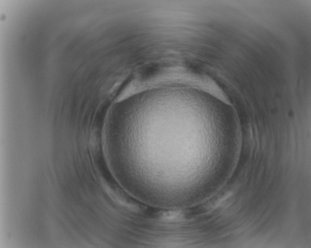 X0000063530088200601271912