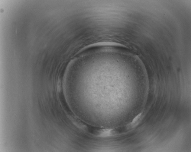 X0000063530090200601271912