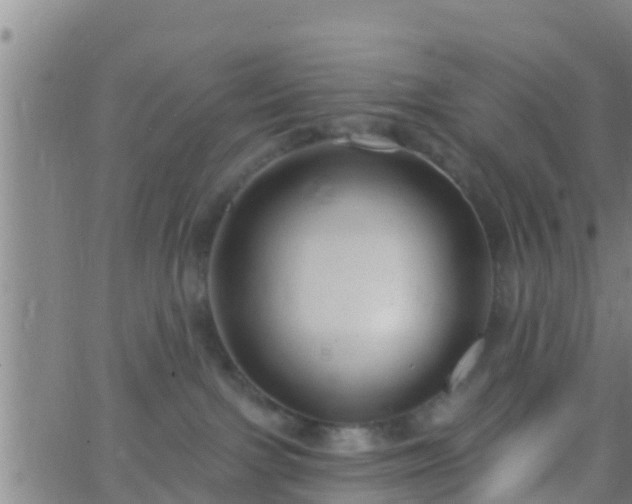 X0000063530091200601271912