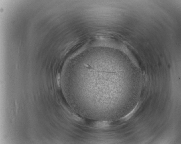 X0000063530094200601271912