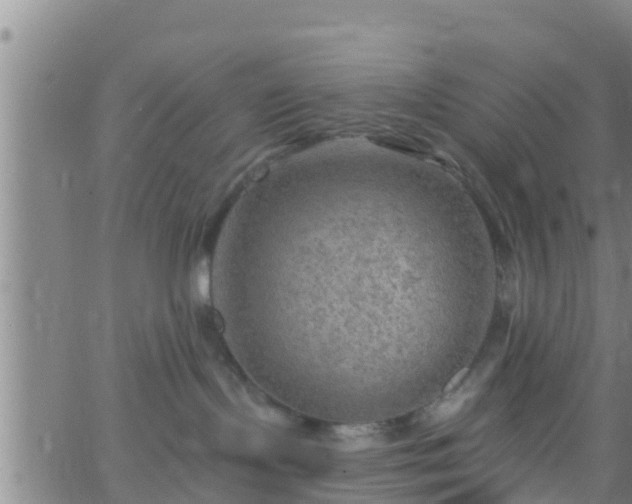 X0000063530095200601271912