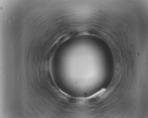 X0000063530096200601271912