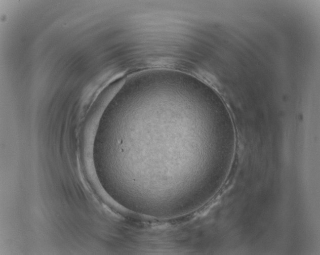 X0000063530097200601271911